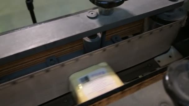 Na fábrica de fabricação de papel — Vídeo de Stock