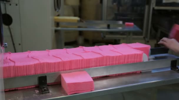Alla fabbrica di fabbricazione della carta — Video Stock