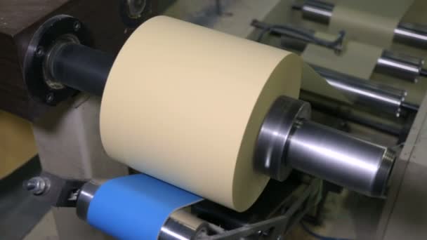 Na fábrica de fabricação de papel — Vídeo de Stock