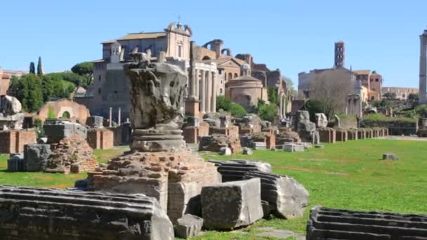 Forum Romanum w słoneczny dzień, Rzym, Włochy — Wideo stockowe