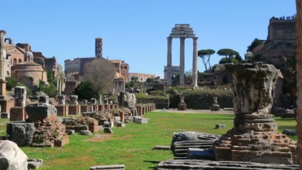 Forum Romanum w słoneczny dzień, Rzym, Włochy — Wideo stockowe