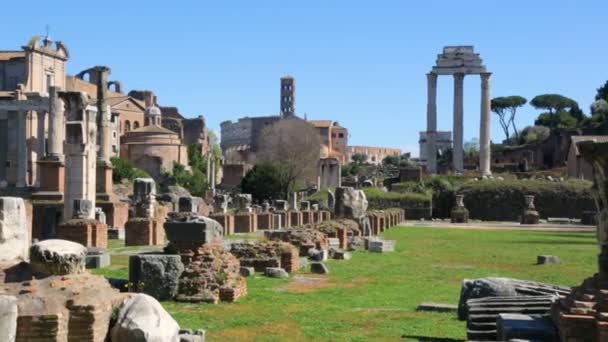 Forum Romanum w słoneczny dzień, Rzym, Włochy — Wideo stockowe