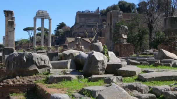 Foro Romano en día soleado, Roma, Italia — Vídeos de Stock