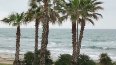 Rüzgarlı havada İtalya kıyısı