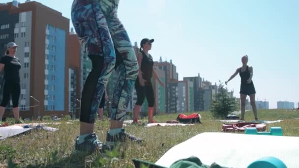 Grupo de mujeres haciendo ejercicios de fitness al aire libre — Vídeos de Stock