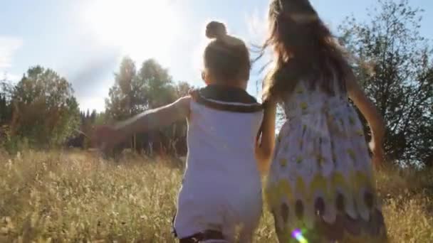 Дві маленькі дівчата пробігають літнє поле — стокове відео