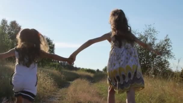 Дві маленькі дівчата біжать по сільській дорозі — стокове відео