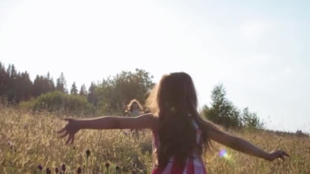 Дві маленькі дірки пробігають літнє поле і обіймаються один з одним — стокове відео