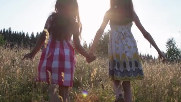 Дві маленькі дівчата проходять через літнє поле — стокове відео