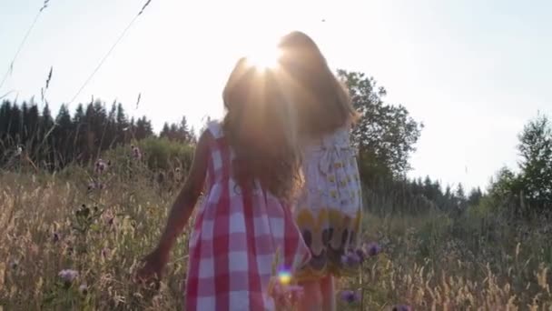 Dos niñas caminando por el campo de verano — Vídeos de Stock