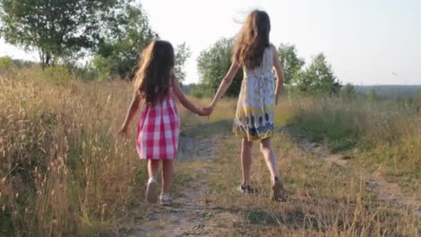 Дві маленькі дівчата гуляють по сільській дорозі — стокове відео