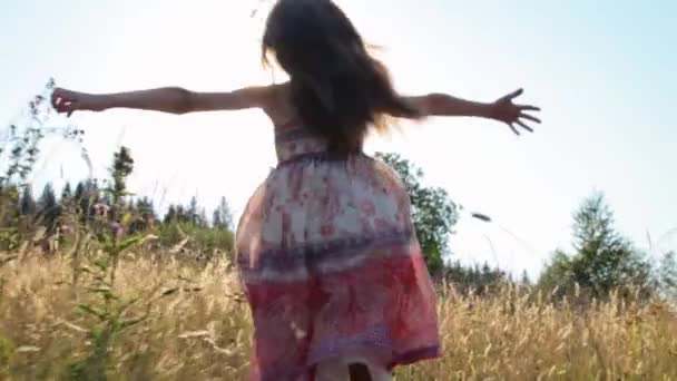 夏の畑を駆け抜ける少女 — ストック動画