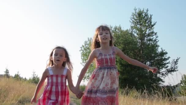 Дві маленькі дівчата гуляють по сільській дорозі — стокове відео