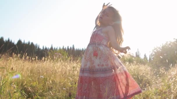 Маленька дівчинка танцює на літньому полі — стокове відео