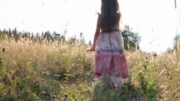 夏の野原を歩く少女 — ストック動画