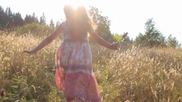夏の畑を駆け抜ける少女 — ストック動画