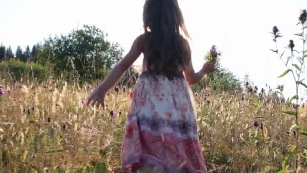 Niña caminando por el campo de verano — Vídeos de Stock