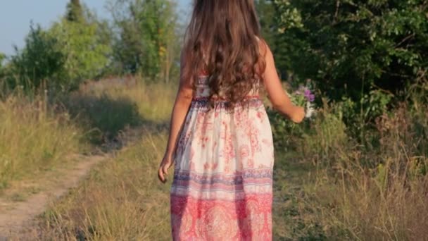 Little girl walking on rural road — Stock Video