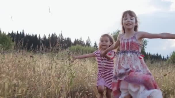 Twee kleine meisjes rennen door het zomerveld — Stockvideo