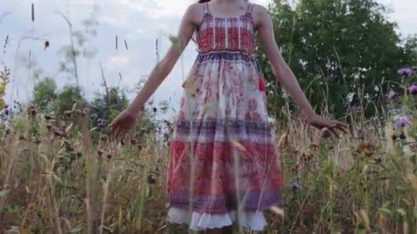 夏の野原を歩く少女 — ストック動画