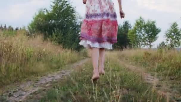 Kırsal yolda yürüyen küçük kız — Stok video