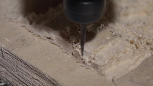 3D-carving gravyr maskin i aktion — Stockvideo