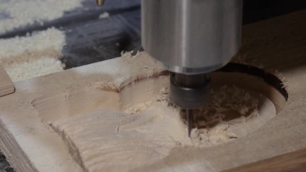 3D-carving gravyr maskin i aktion — Stockvideo