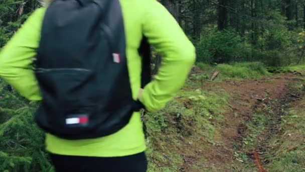 Kobieta turystka przechadza się przez las — Wideo stockowe