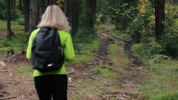 Donna turista a piedi attraverso la foresta — Video Stock