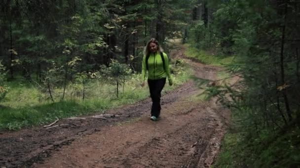 Donna turista a piedi attraverso la foresta — Video Stock