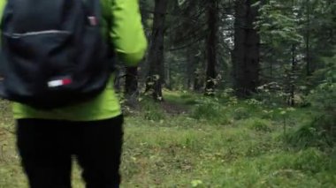 Ormanda yürüyen bir kadın turist