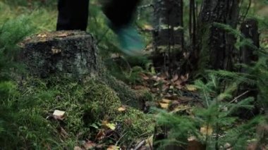 Ormanda yürüyen bir kadın turist