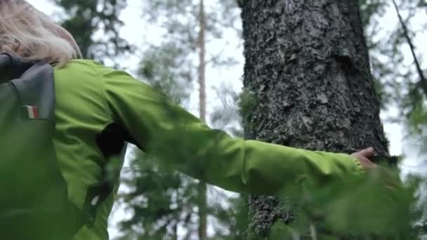 Mujer acariciando abeto en el bosque — Vídeos de Stock