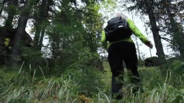 Turista mujer subiendo una colina — Vídeos de Stock