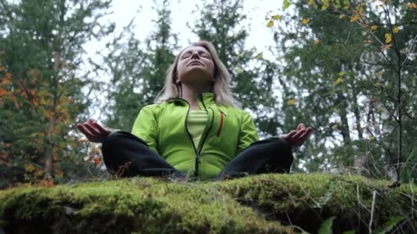 Mujer meditando sobre una roca en el bosque — Vídeos de Stock