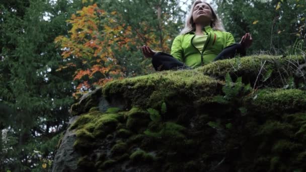 Mujer meditando sobre una roca en el bosque — Vídeos de Stock