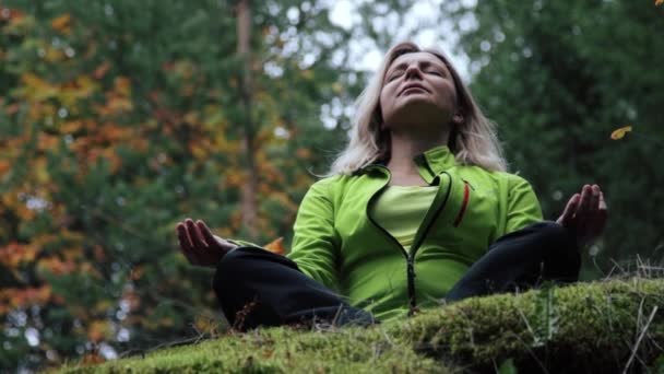 Mujer meditando sobre una roca en el bosque — Vídeos de Stock