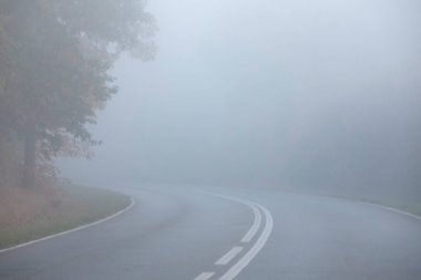 Sonbahar sabahı, çok erken zaman. Boş sokak ormanın içinde. Yoğun sis görünürlüğü engelleyen.