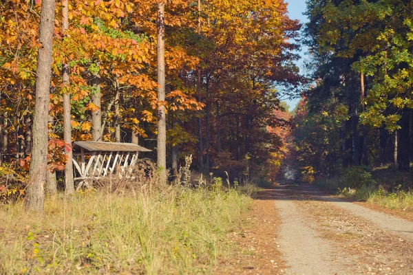 Pascolo Animali Lungo Strada Nel Bosco — Foto Stock