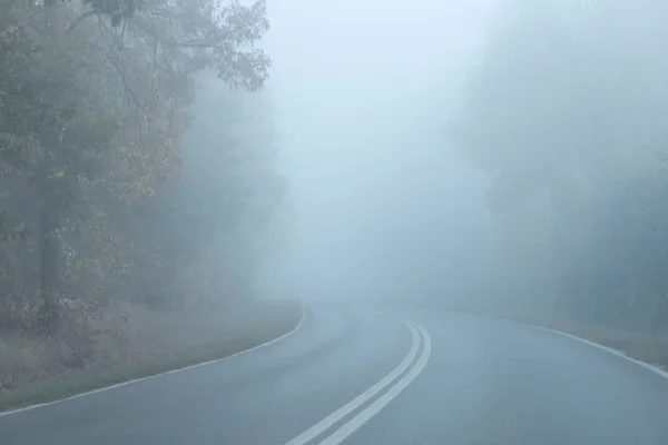Herbstmorgen Sehr Früh Leere Straße Wald Dichter Nebel Behindert Sicht Stockbild