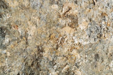 Doku bir taş. Yakın çekim