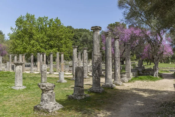 Ruinas de la antigua Olimpia, un santuario en Elis en la península del Peloponeso —  Fotos de Stock