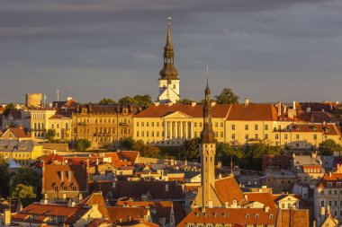Belediye binası ve St Mary Katedrali kuleleri ile iyi korunmuş Tallinn eski şehir görünümü
