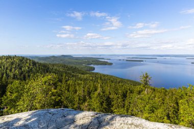 Finlandiya'da Koli Milli Parkı ve Pielinen Gölü Panoraması