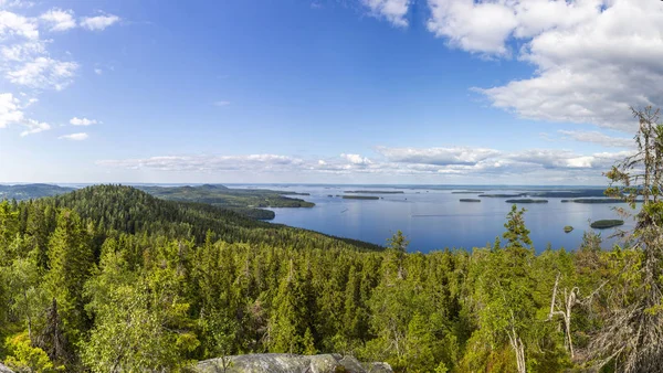 Finlandiya'da Koli Milli Parkı ve Pielinen Gölü Panoraması