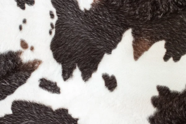 Fur skin texture abstract animal with spots