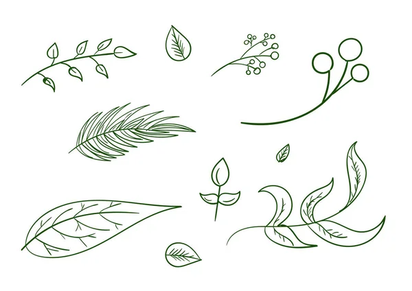 Elle çizilmiş dekoratif bitki dal tasarım öğesi kümesi yaprak. — Stok Vektör