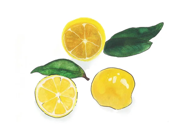 Цитрусовый лимонный фон. Ручная иллюстрация с лимонами . — стоковое фото