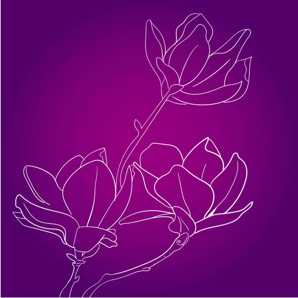 Dessin et croquis de fleurs vectorielles Magnolia avec dessin en ligne noir et blanc . — Image vectorielle