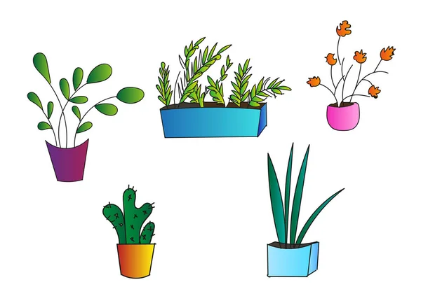 Definir flor em vaso vector elemento objeto decoração ilustração coleção — Vetor de Stock